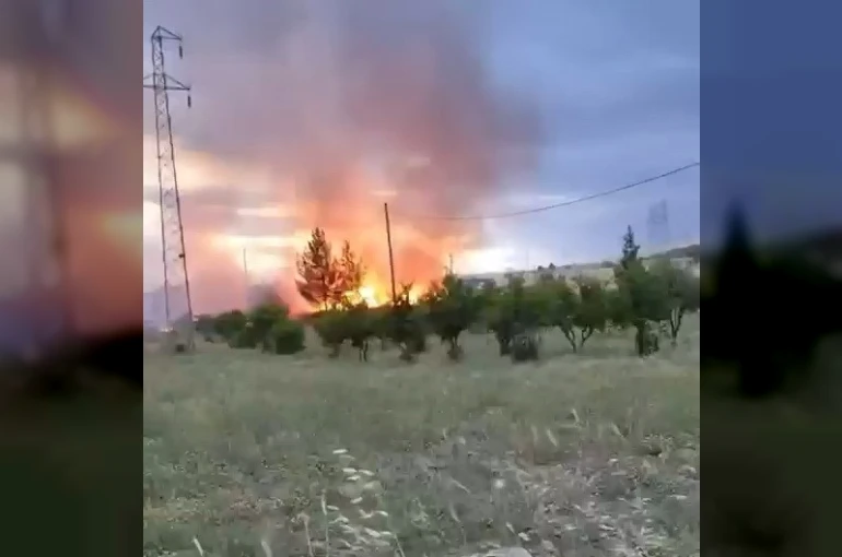 Elektrik direğinden çıktığı iddia edilen yangın buğday tarlasını küle çevirdi