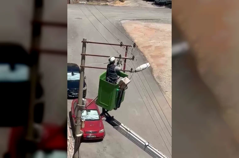 Elektrik tellerine takılan kuş kurtarıldı
