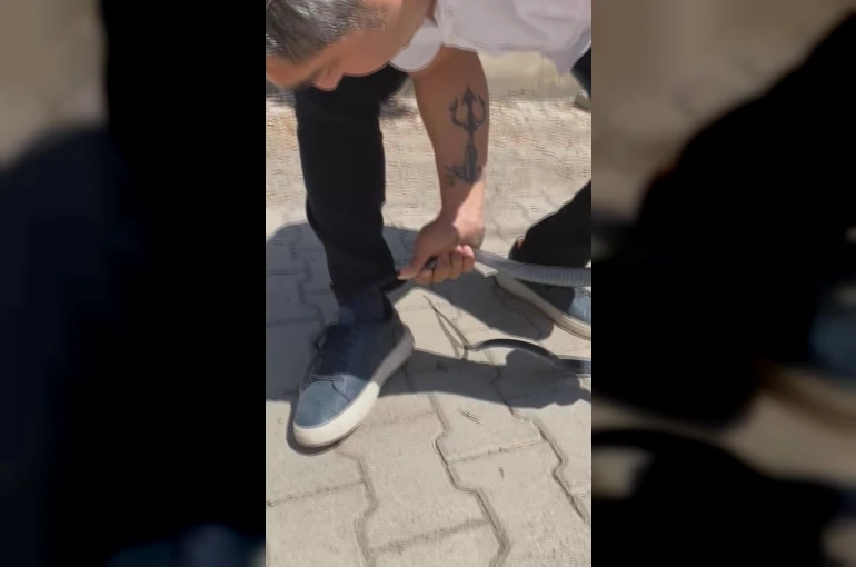 Eliyle yakaladığı yılan bacağını ısırdı: O anlar kamerada