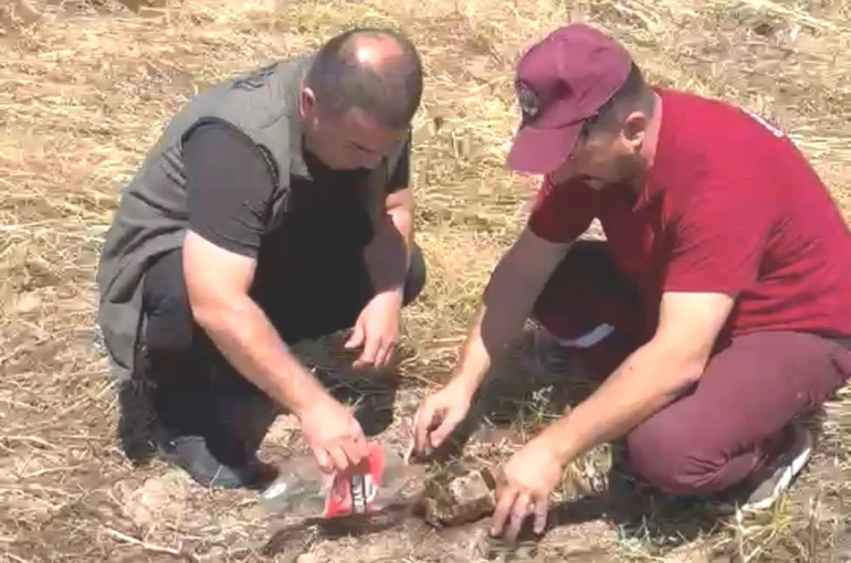 Emet’te alevlerin arasından kurtarılan kaplumbağa yürekleri ısıttı
