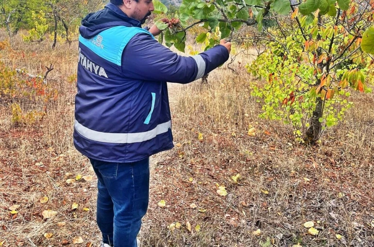 Emet’te uydu takibi yapılan arazilerde fiziki kontroller yapıldı