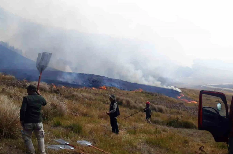 Endonezya’daki Bromo Dağı Milli Parkı’nda günlerdir süren yangın söndürülemiyor