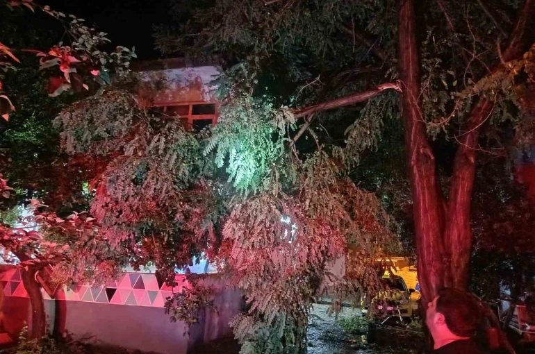 Erdek’te fırtına ve dolu yağışı: Ağaçlar devrildi, çatılar uçtu