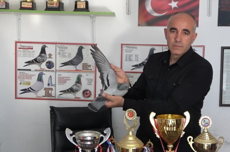 Ermenistan sınırından bırakılan güvercin bin kilometre yolu bir günde katederek evine döndü