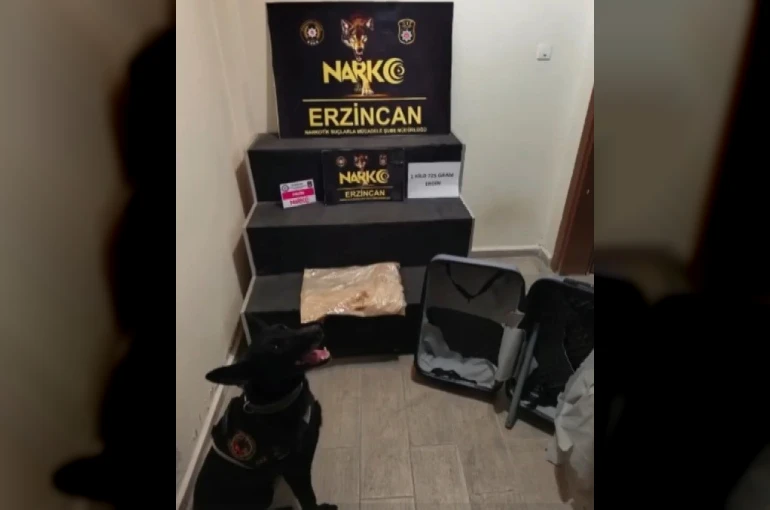 Erzincan’da 1 kilo 725 gram eroin ele geçirildi, 1 şüpheli tutuklandı