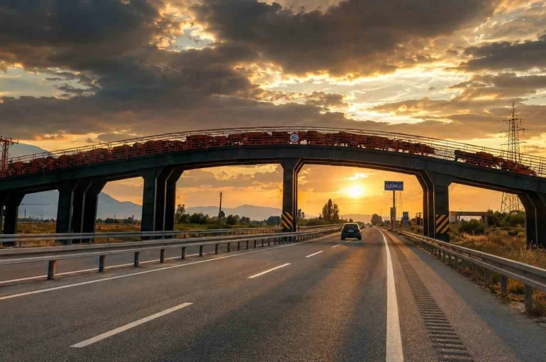 Erzincan’da hayvan sürülerine özel üst geçit