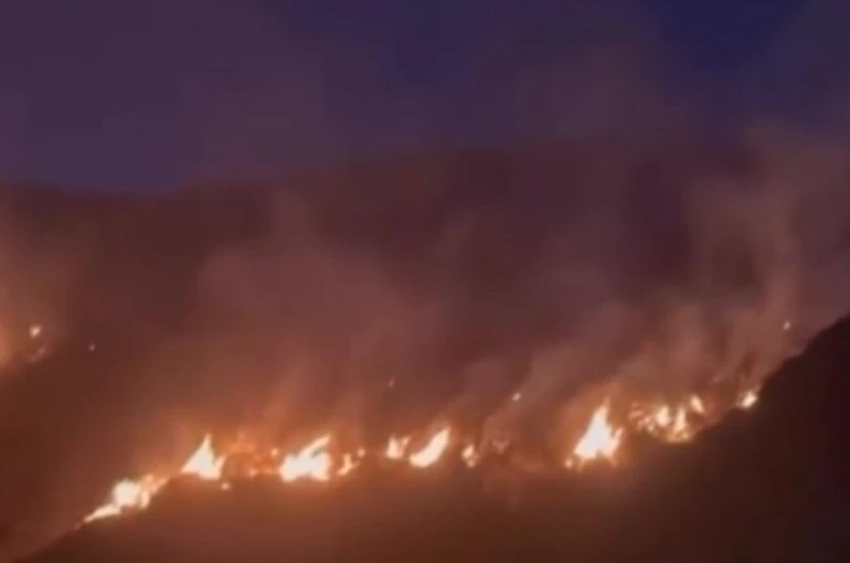 Erzincan’da örtü yangını ormana sirayet etmeden kontrol altına alındı