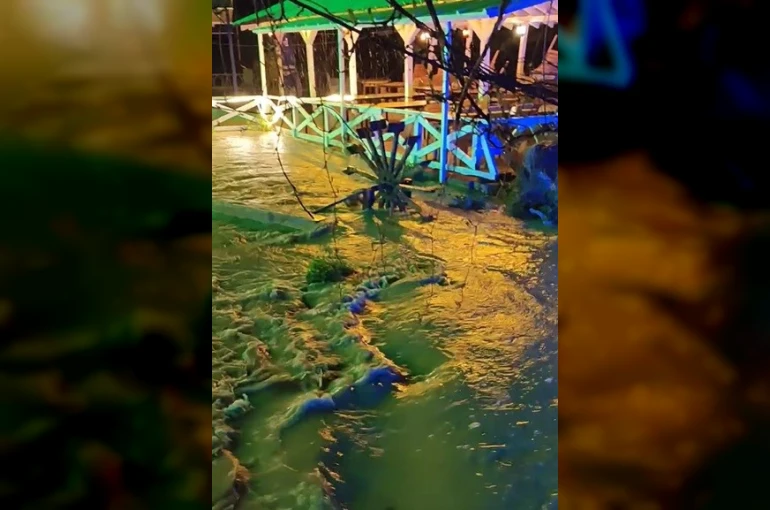 Erzincan’da sağanak yağış etkili oldu