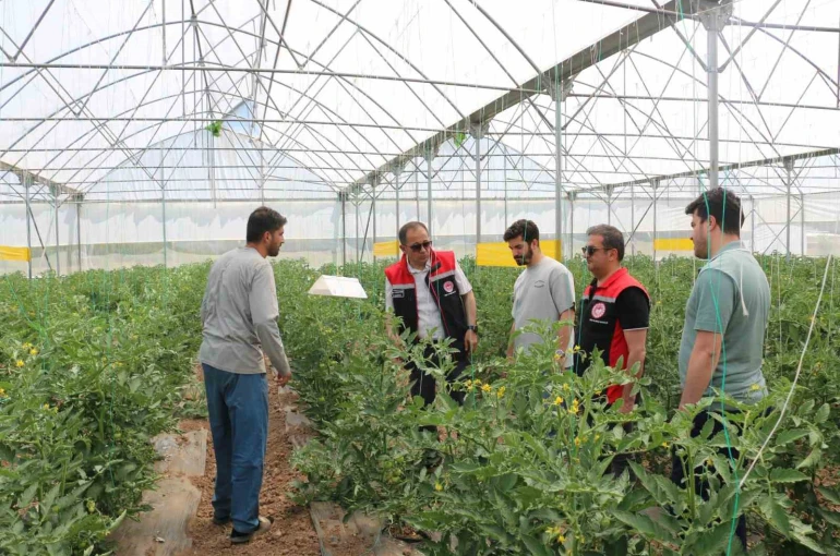 Erzincan’da seracılık faaliyetleri yerinde incelendi