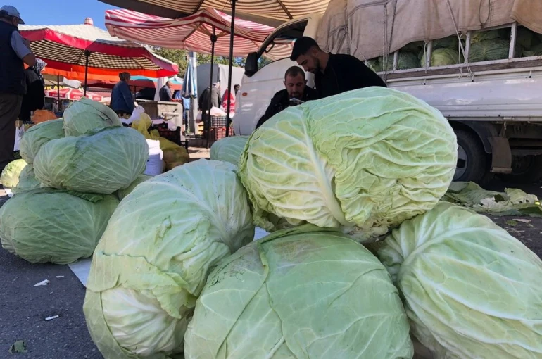 Erzincan’da turşuluk ve yemeklik lahanalar tezgahta yerini aldı