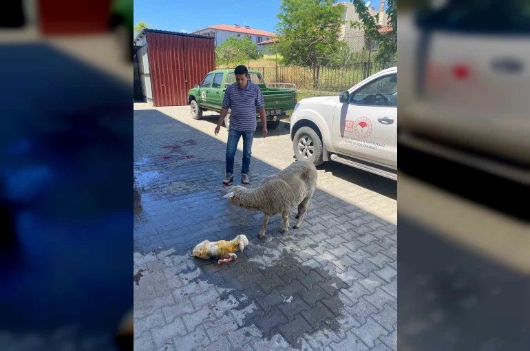 Erzincan’da zamanla yarış mutlu sonla bitti
