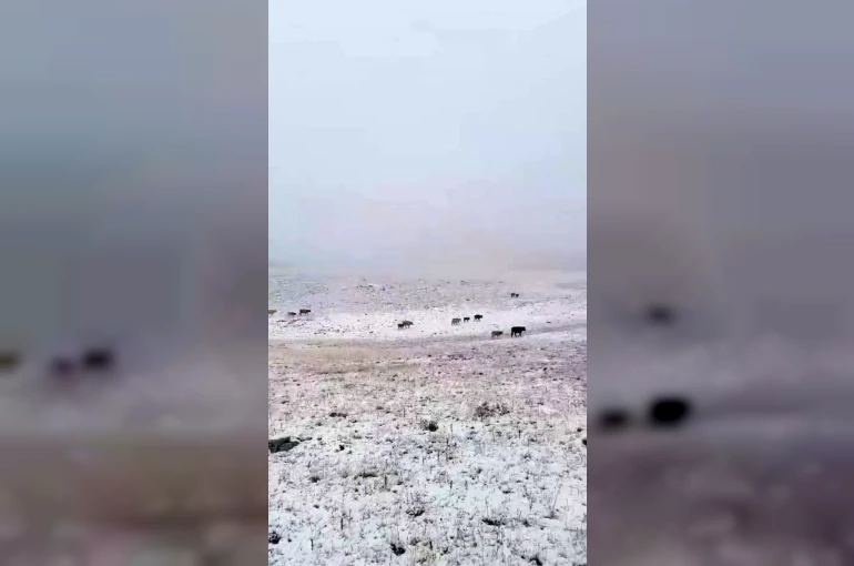 Erzurum’a mevsimin ilk karı yağdı