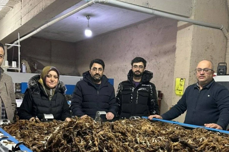 Erzurum’da atık yünler yeşil dönüşümle değer kazanıyor