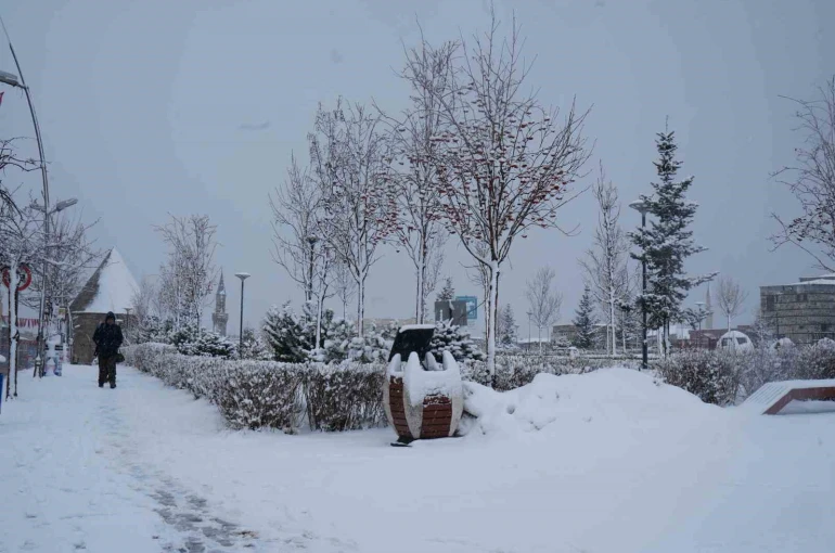 Erzurum’da kar yağışı etkili oluyor 