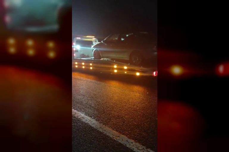 Erzurum’da kara yolunda facia: Otomobil domuz sürüsüne çarptı