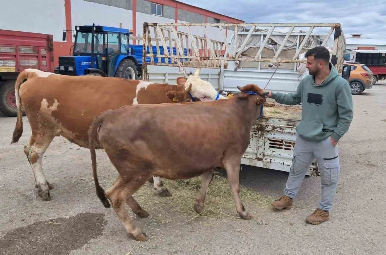 Erzurum’da kurban pazarı hareketlendi