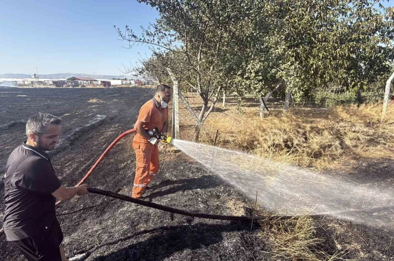 Eskişehir’de anız yangını: Alevler milyar dolarlık fabrikaya 200 metre kala durduruldu