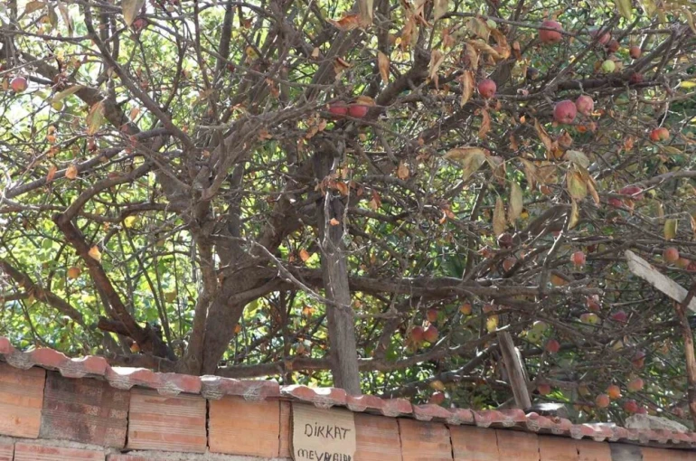 Eskişehir’de şaşırtan uyarı 