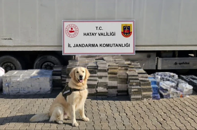 Eşya taşınan tır dorsesinden 3 bin karton kaçak sigara çıktı