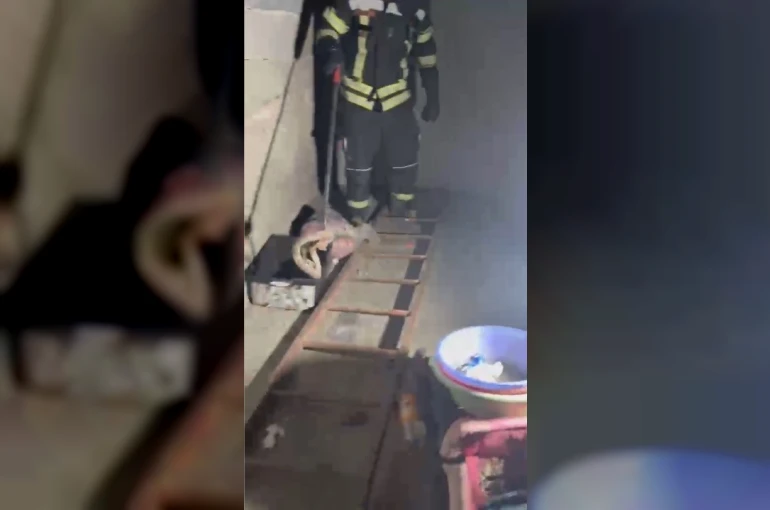 Evde görülen zehirli engerek itfaiye ekiplerince yakalandı 