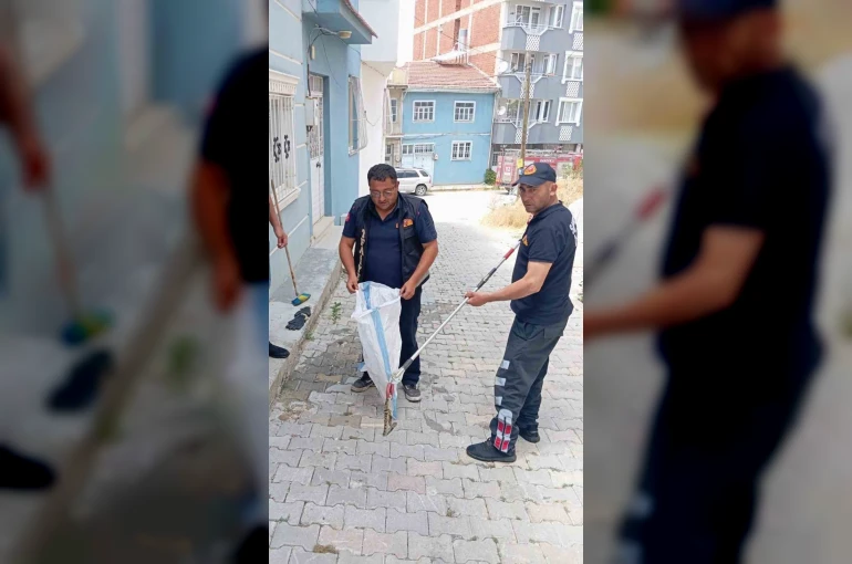 Eve giren yılan paniğe neden oldu