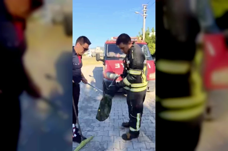 Evin bahçesine giren yılan itfaiye ekiplerini peşinden koşturdu