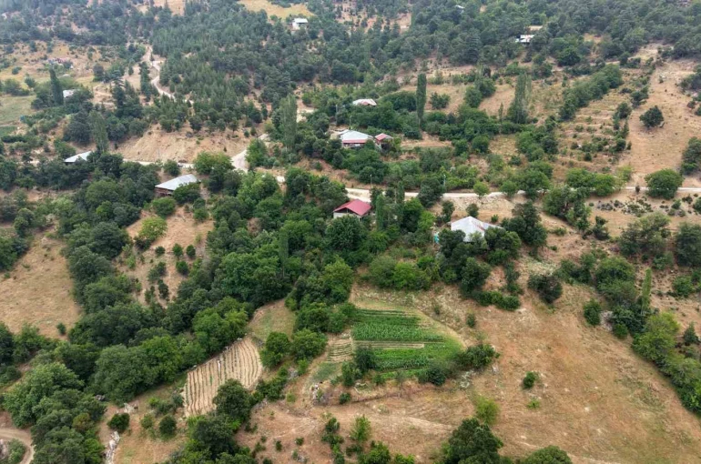 Feke’nin dağ köyünde sarı kantaron ve kekik geleneksel yöntemlerle şifa kaynağına dönüşüyor