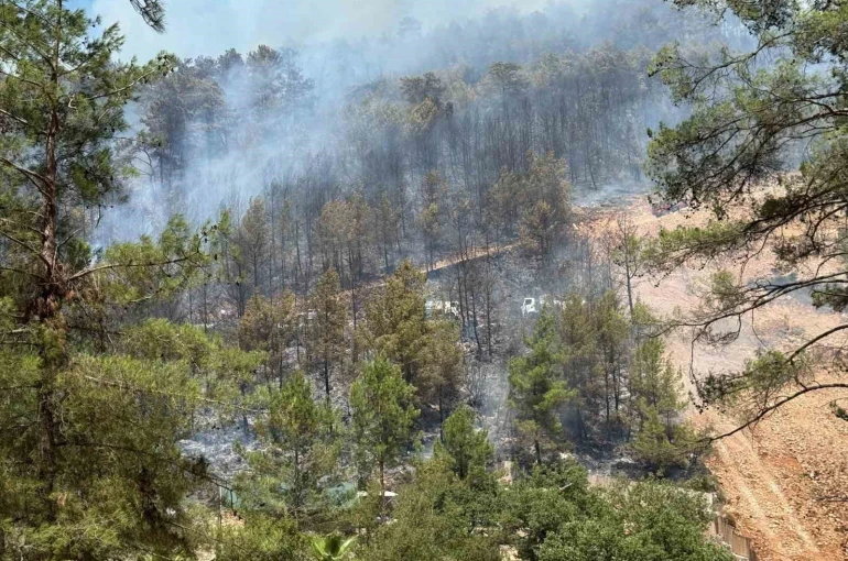 Fethiye’de orman yangınını söndürme çalışmaları sürüyor
