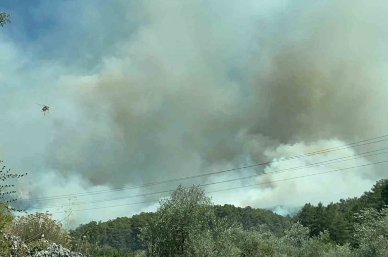 Fethiye’de orman yangınını söndürmek için ekipler seferber oldu