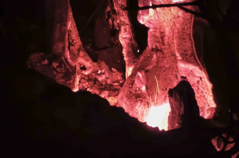 Fethiye’deki orman yangınında 13. saat: Ekiplerin müdahalesi sürüyor