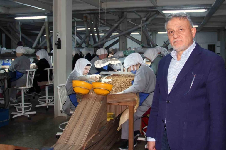 Fındık fiyatlarındaki düşüş sürüyor: Gözler yeni sezonda