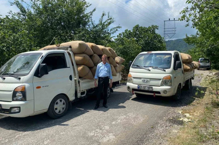 Fındık tüccarından üreticiye kritik uyarı: "Dalından toplamayın, yere dökülmesini bekleyin"