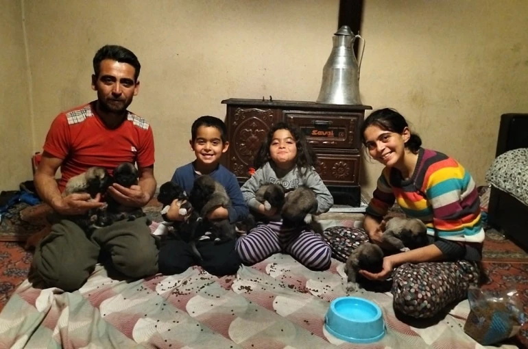 Fırtına sonrası devrilen ağaçların altında kalarak telef olan anne köpeğin yavrularına sahip çıktılar