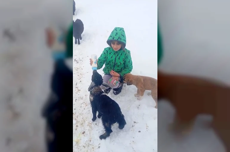 Fırtınada kaybolan kuzu 3 gün sonra sağ bulundu