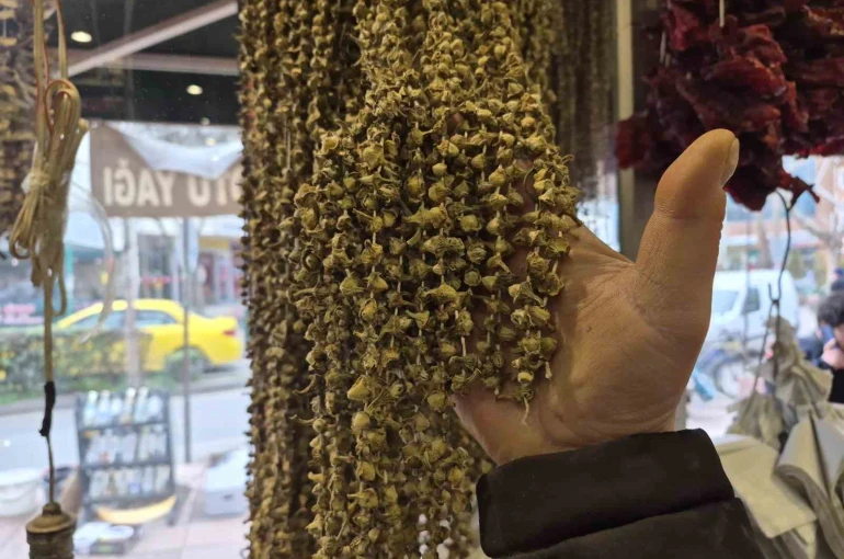Fiyatıyla dikkat çeken kurutulmuş bamya 3 bin 500 TL’ye satılıyor