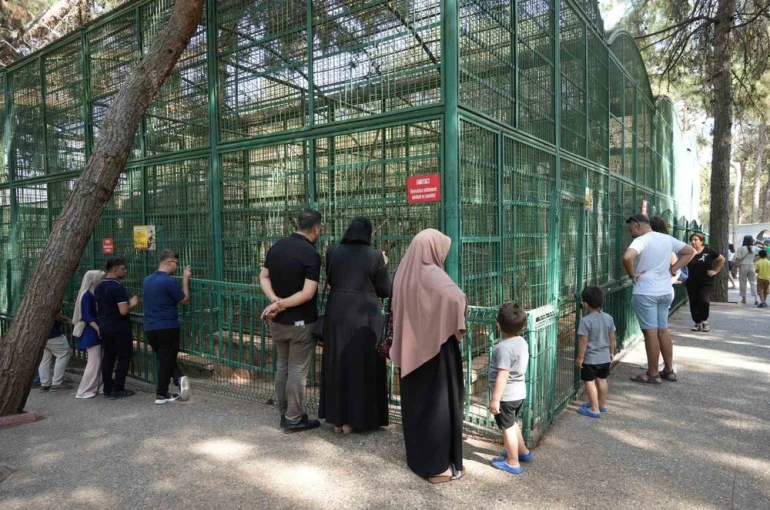 Gaziantep Doğal Yaşam Parkı’nda 8 ayda bir yılın rekoru kırıldı
