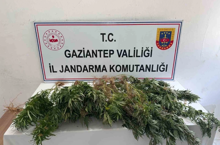 Gaziantep jandarmadan uyuşturucu operasyonu