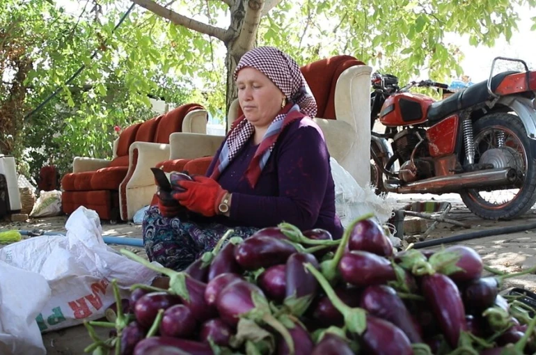 Gaziantepli kadınların kurutmalık mesaisi devam ediyor
