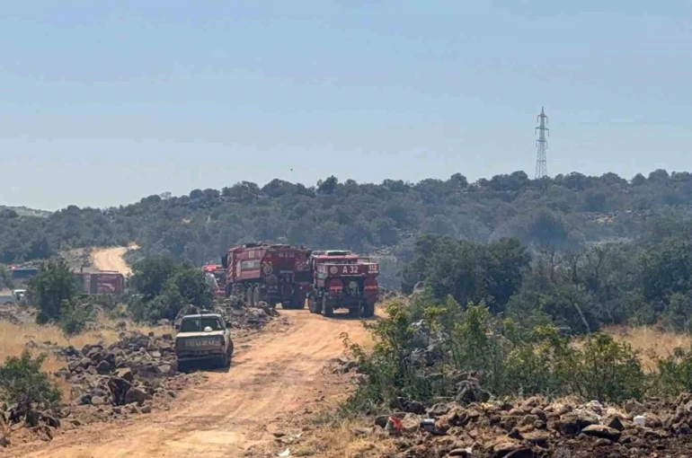 Gaziantep’te orman yangını: Ekiplerin müdahalesi sürüyor