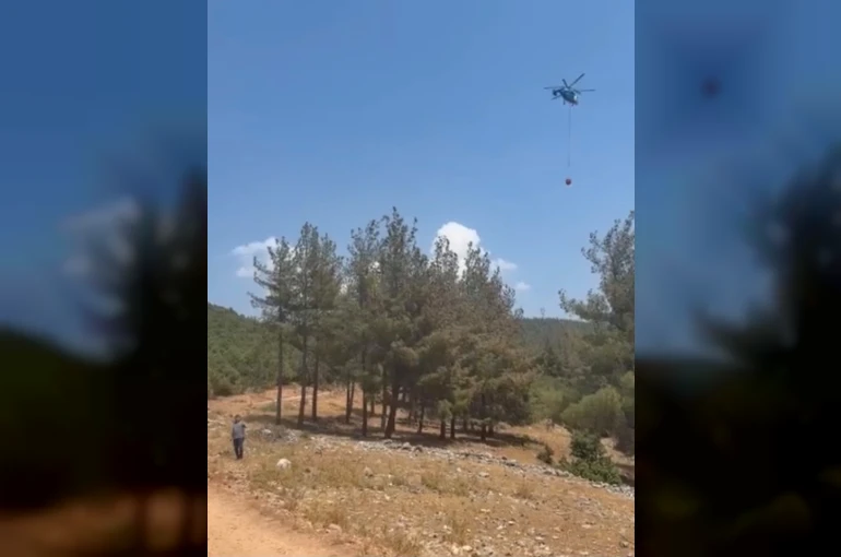 Gaziantep’te orman yangını: Havadan ve karadan müdahaleyle söndürüldü