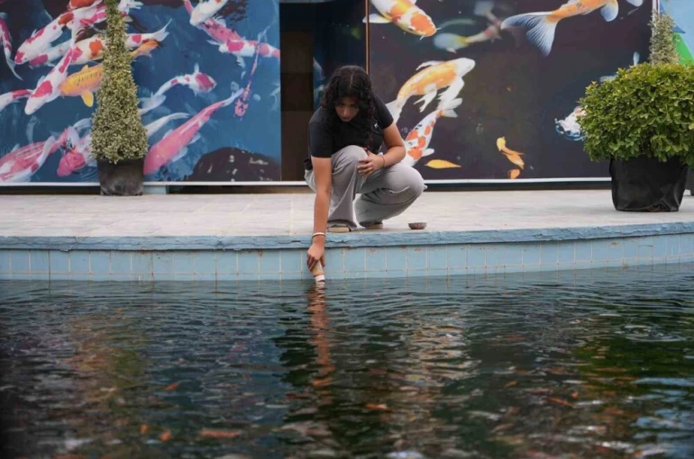 Gaziantep’te rengarenk Japon koi balıklarını ziyaretçiler biberonla besliyor