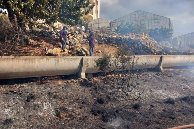 Gazipaşa’da zirai alanda yangın büyümeden söndürüldü
