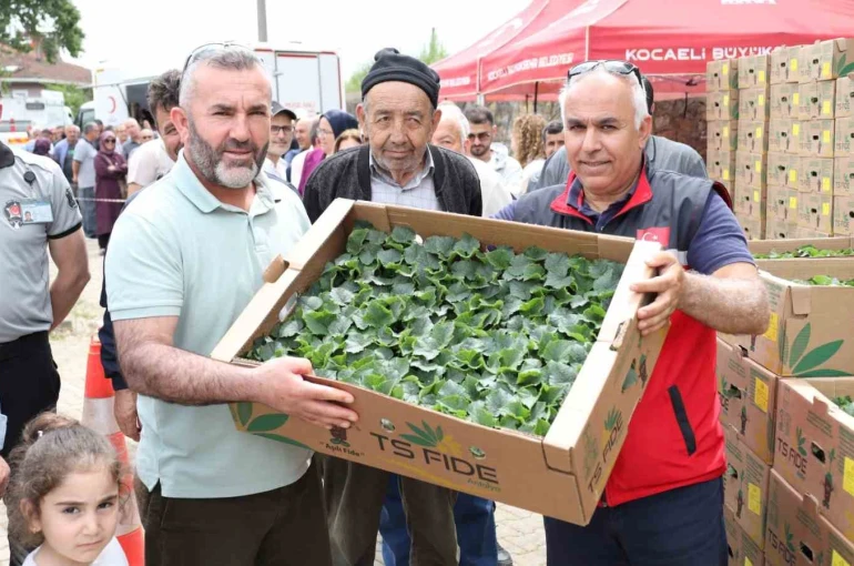 Gebzeli çiftçiye 500 bin sebze fidesi desteği