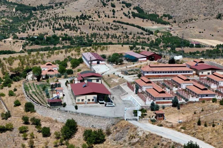 Geçici Hayvan Bakımevi ve Rehabilitasyon Merkezi’nde 15 bin sokak hayvanı tedavi edildi