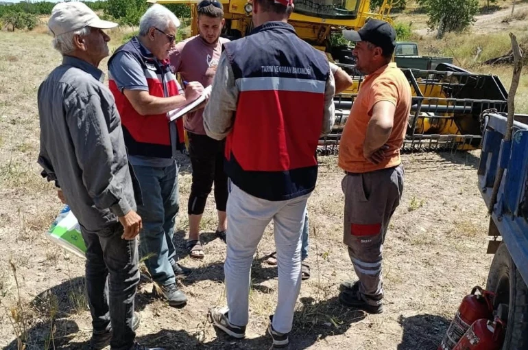 Gediz’de biçerdöverle hasat kontrolleri sürüyor
