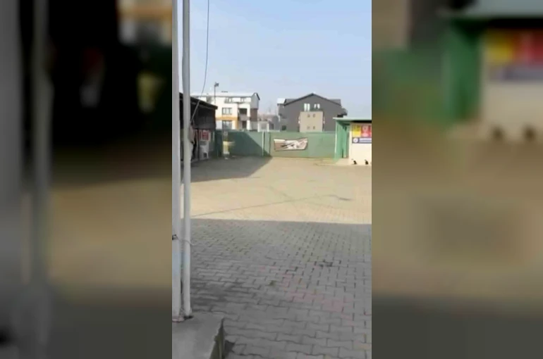 Gemlik Belediyesinin Umurbey’deki barınağını önünde toplanan hayvanseverler içeriye alınmadı