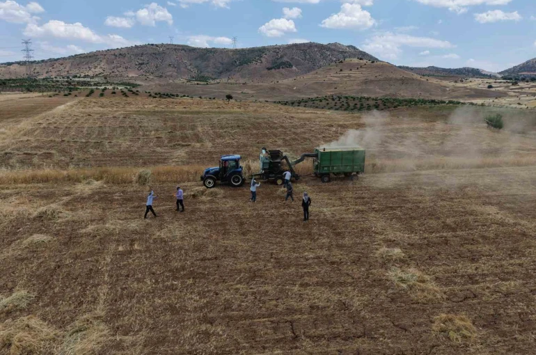 Gercüş’te kavurucu sıcakta ’oyun havalı’ hasat