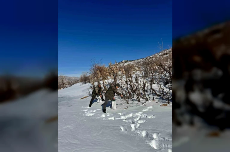 Gercüş’te orman ekibi doğadaki canlıları yalnız bırakmadı