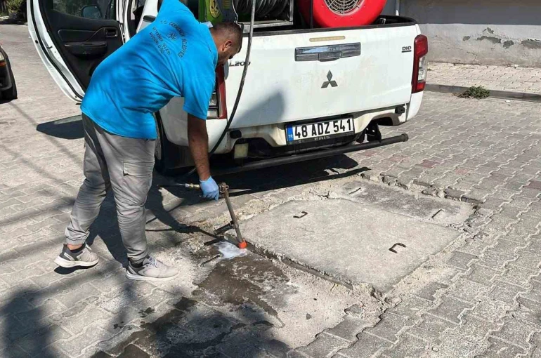Germencik’te haşere ve zararlılara karşı etkin mücadele