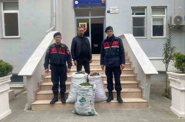 Germencik’te incir bahçesinde jandarmadan suçüstü